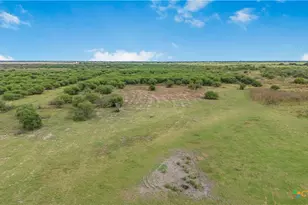 000 Fm 239, Tivoli, TX 77990 - Photo 12