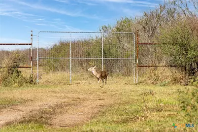 000 Fm 239, Tivoli, TX 77990 - Photo 24
