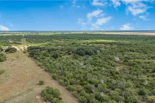 000 Fm 239, Tivoli, TX 77990 - Photo 4