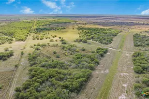 000 Fm 239, Tivoli, TX 77990 - Photo 2