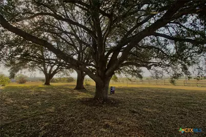 1891 Dworaczyk Road, Yorktown, TX 78164 - Photo 8