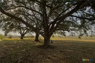 1891 Dworaczyk Rd, Yorktown, TX 78164 - Photo 8