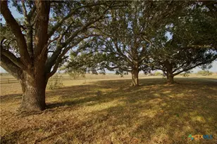 1891 Dworaczyk Rd, Yorktown, TX 78164 - Photo 34