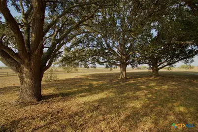 1891 Dworaczyk Road, Yorktown, TX 78164 - Photo 2