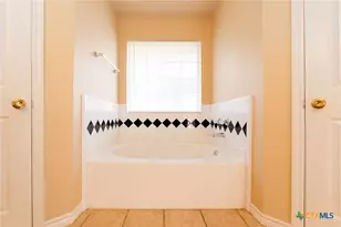 3163 Lomas Rodando Calzada, Kempner, TX 76539 - Photo 16