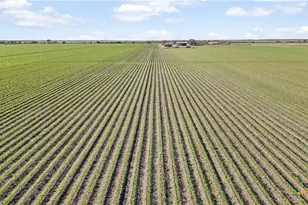 5629 US-59, Edna, TX 77957 - Photo 6