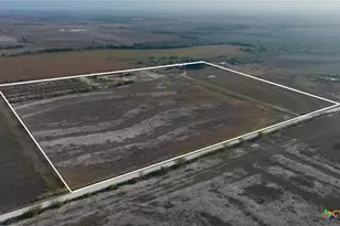 1891 Dworaczyk Rd, Yorktown, TX 78164 - Photo 1