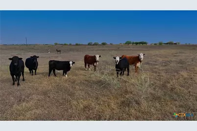 1891 Dworaczyk Road, Yorktown, TX 78164 - Photo 36