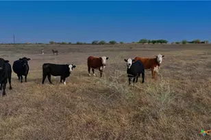 1891 Dworaczyk Rd, Yorktown, TX 78164 - Photo 36