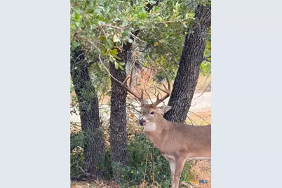 1232 Kings Cove Dr, Canyon Lake, TX 78133 - Photo 6