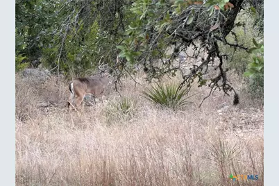 1232 Kings Cove Dr, Canyon Lake, TX 78133 - Photo 8