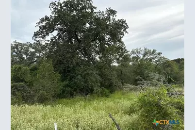 Lot 2 Willis Lane, Smithville, TX 78957 - Photo 6