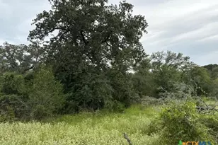 Lot 2 Willis Ln, Smithville, TX 78957 - Photo 6