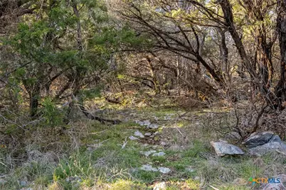 [Address not provided], New Braunfels, TX 78132 - Photo 40