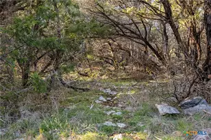 [Address not provided], New Braunfels, TX 78132 - Photo 40