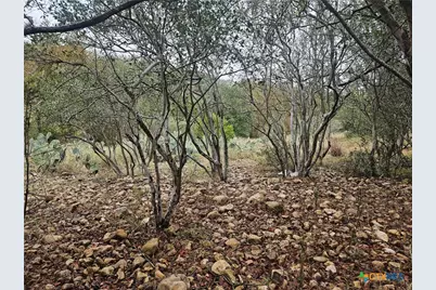 481 River Chase Way, New Braunfels, TX 78132 - Photo 6