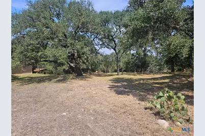 481 River Chase Way, New Braunfels, TX 78132 - Photo 2