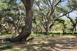 96 Reeves Ranch Rd, Victoria, TX 77905 - Photo 12