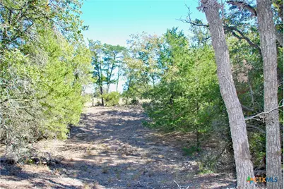 1727 Davis Road, Flatonia, TX 78949 - Photo 32