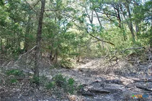 1727 Davis Rd, Flatonia, TX 78949 - Photo 34