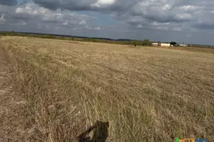 3883 Tschoepe Rd, Seguin, TX 78155 - Photo 10