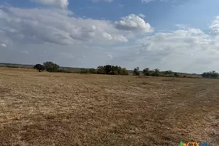 3883 Tschoepe Rd, Seguin, TX 78155 - Photo 4