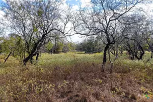 195 Cheyenne Ln, Kingsbury, TX 78638 - Photo 38