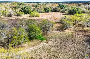 195 Cheyenne Ln, Kingsbury, TX 78638 - Photo 42