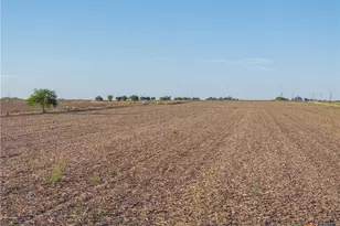 Tbd Fm-112, Thrall, TX 76578 - Photo 14