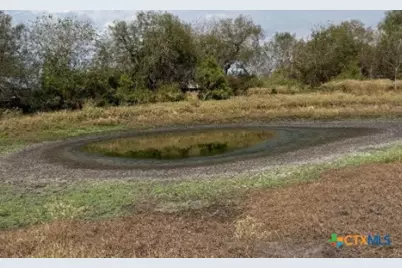 4689 County Road 302, Runge, TX 78151 - Photo 14