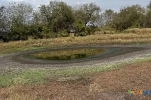 4689 County Rd 302, Runge, TX 78151 - Photo 14
