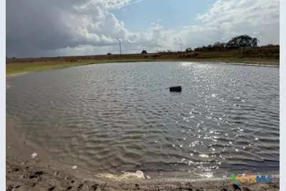 4689 County Road 302, Runge, TX 78151 - Photo 6