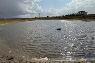 4689 County Rd 302, Runge, TX 78151 - Photo 6