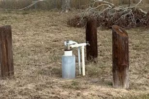 4689 County Rd 302, Runge, TX 78151 - Photo 18