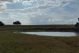 4689 County Rd 302, Runge, TX 78151 - Photo 40