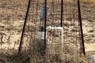 4689 County Rd 302, Runge, TX 78151 - Photo 20