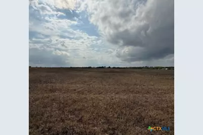 4689 County Road 302, Runge, TX 78151 - Photo 30