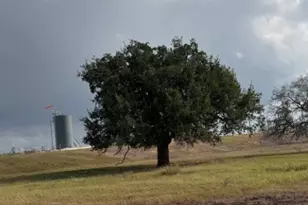 4689 County Rd 302, Runge, TX 78151 - Photo 22