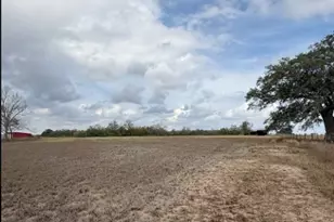 4689 County Rd 302, Runge, TX 78151 - Photo 34