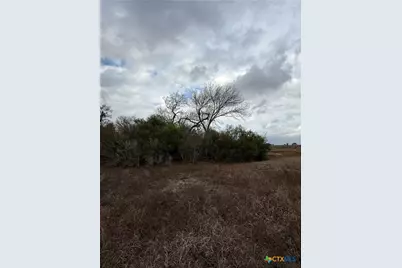 4689 County Road 302, Runge, TX 78151 - Photo 38