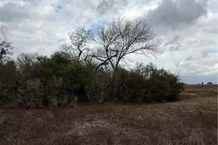 4689 County Rd 302, Runge, TX 78151 - Photo 38