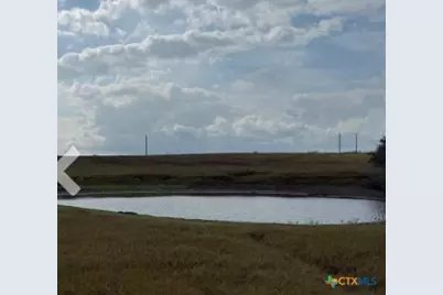 4689 County Road 302, Runge, TX 78151 - Photo 8