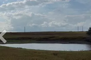 4689 County Rd 302, Runge, TX 78151 - Photo 8