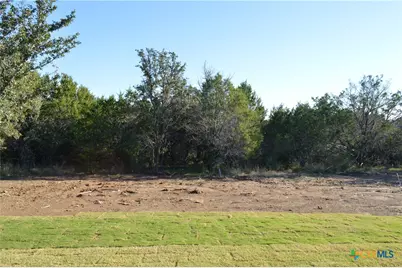 202 County Road 3154, Kempner, TX 76539 - Photo 46
