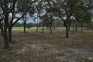 000 Garcitas Creek Ranch Rd, Inez, TX 77968 - Photo 10