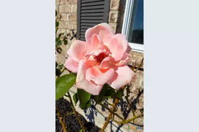 3707 Frigate Drive, Killeen, TX 76549 - Photo 4