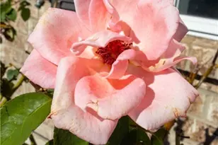 3707 Frigate Dr, Killeen, TX 76549 - Photo 4