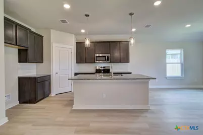 3550 Twin Dish Way, New Braunfels, TX 78130 - Photo 4