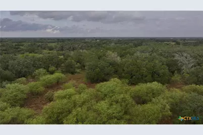 000 Coletoville Road, Victoria, TX 77905 - Photo 12