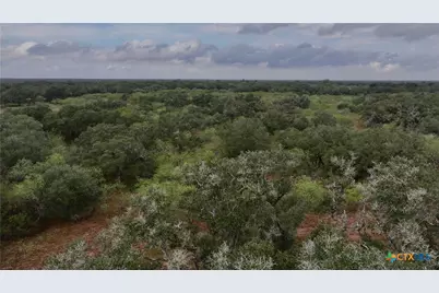 000 Coletoville Road, Victoria, TX 77905 - Photo 14